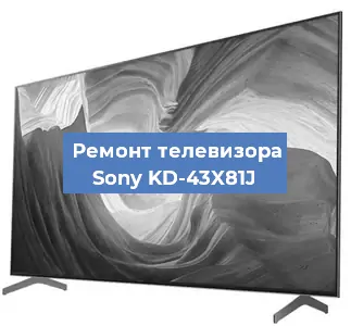 Замена порта интернета на телевизоре Sony KD-43X81J в Волгограде